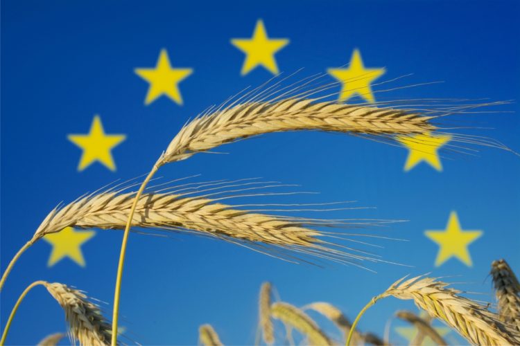 Top EU institutes launch ESAAF alliance to shape agri-food policy
