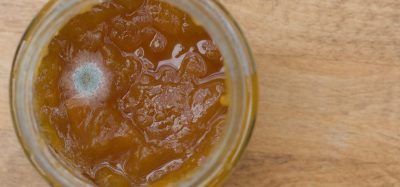 Mycotoxins in jam - why Theresa May’s “scrape the mould” method isn’t entirely wrong
