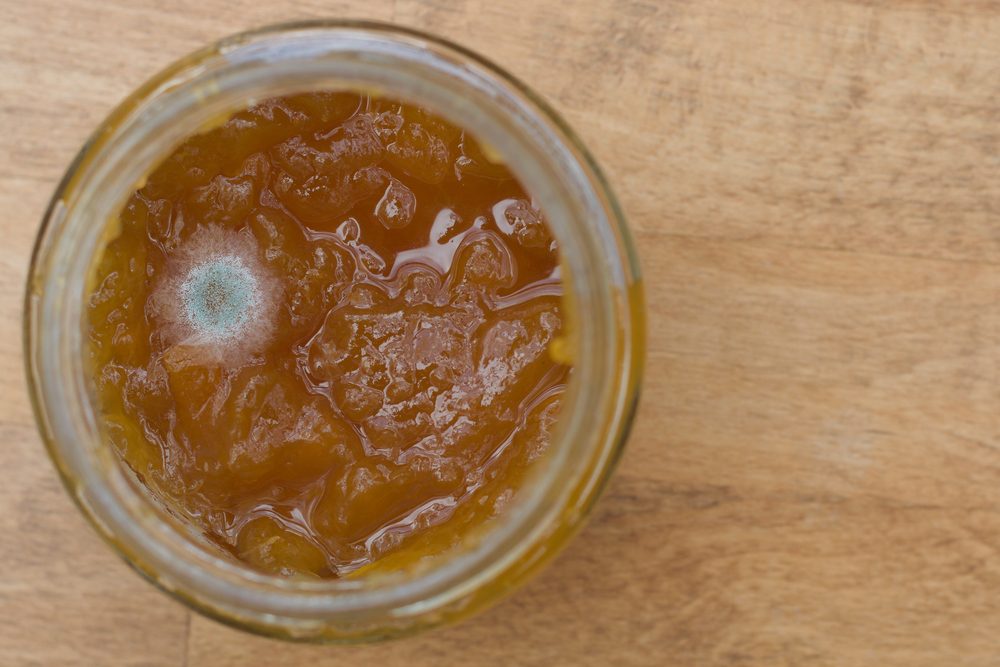 Mycotoxins in jam - why Theresa May’s “scrape the mould” method isn’t entirely wrong