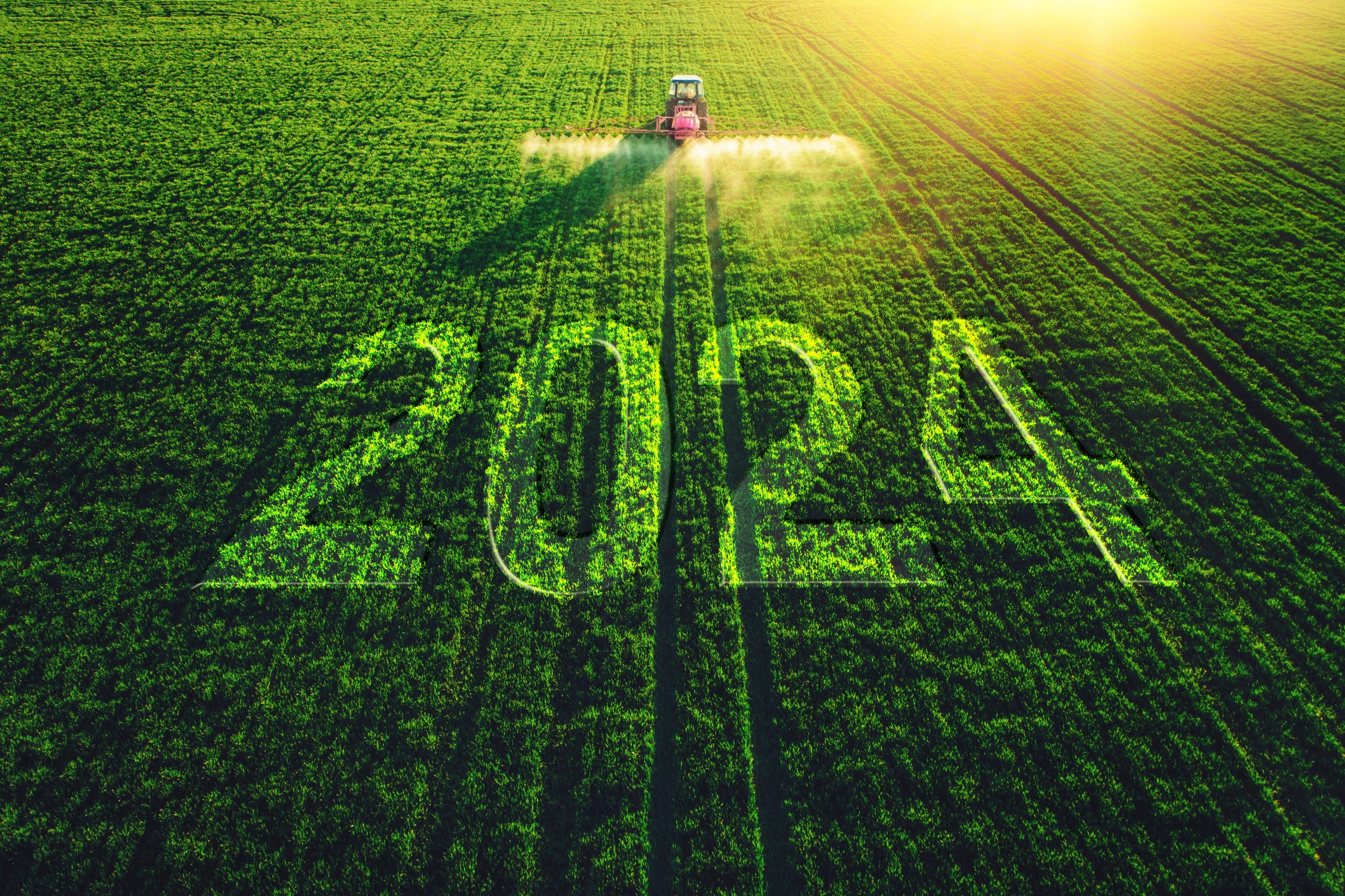 What’s on the menu? Five food trend predictions for 2024