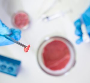 Cultivated beef shows mixed allergy risks to conventional meat