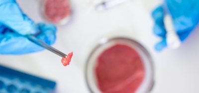 Cultivated beef shows mixed allergy risks to conventional meat