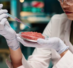 FSA and FSS issue first safety guidance for lab-grown meat market