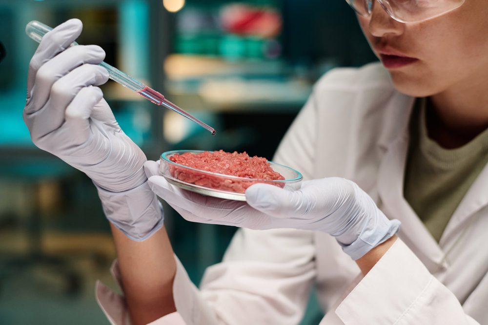 FSA and FSS issue first safety guidance for lab-grown meat market