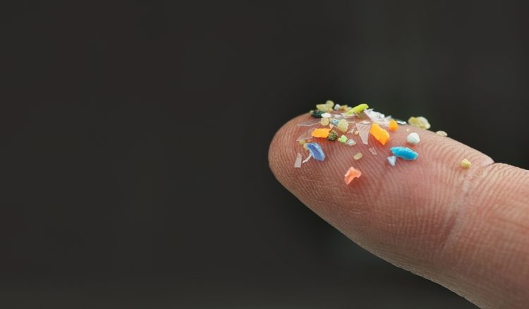 UK government urged to act on microplastics or risk falling behind