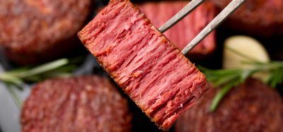 Global innovation in meat alternatives slows as patent filings fall