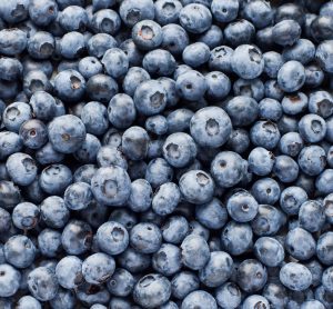 FDA escalates organic blueberry recall to highest level over listeria risk