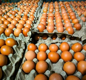 Nearly two million eggs recalled in US over Salmonella risk