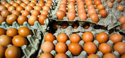 Nearly two million eggs recalled in US over Salmonella risk