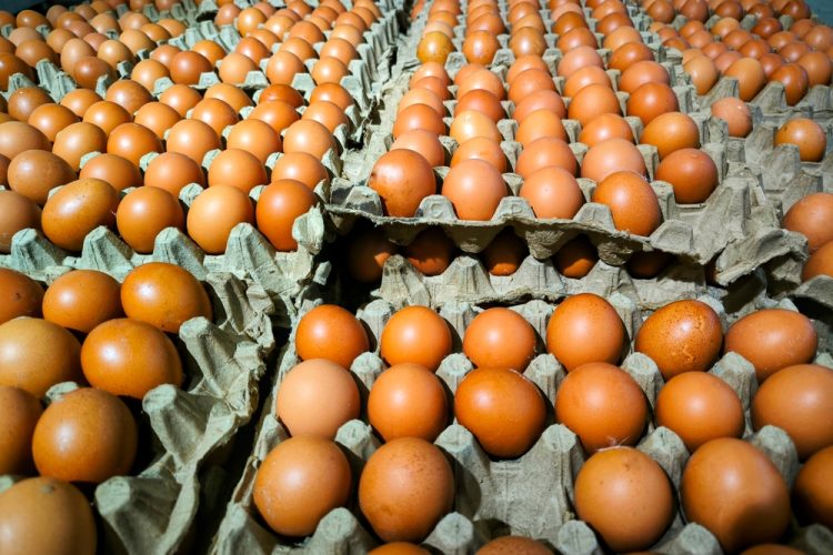 Nearly two million eggs recalled in US over Salmonella risk