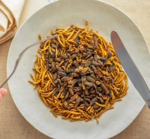 Consumer disgust will block edible insects as viable meat alternative, researchers warn