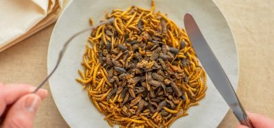 Consumer disgust will block edible insects as viable meat alternative, researchers warn