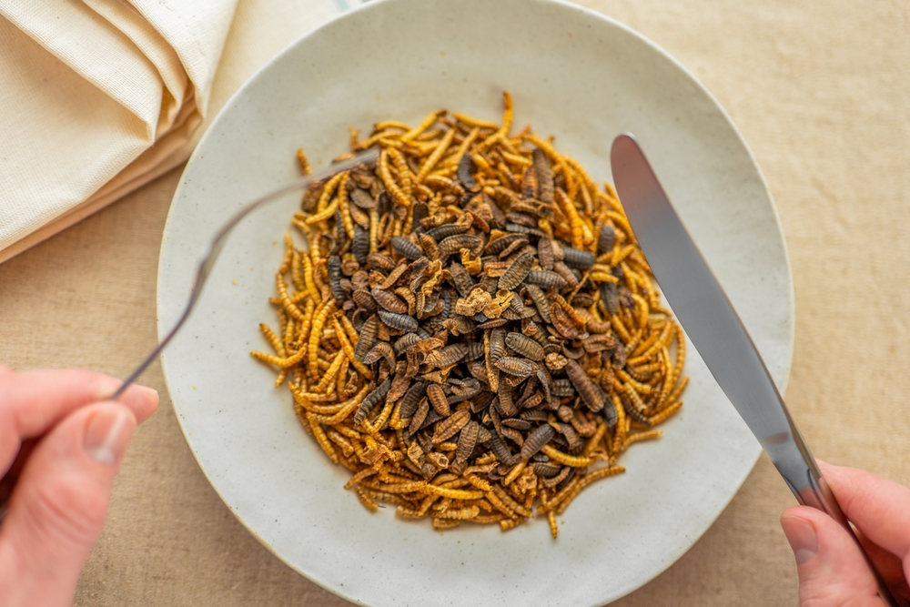 Consumer disgust will block edible insects as viable meat alternative, researchers warn