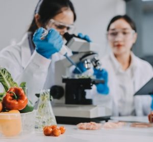 An image of two food scientists in a laboratory.