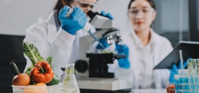 An image of two food scientists in a laboratory.