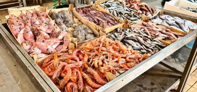 FAO report exposes scale of fish fraud in global seafood supply chains