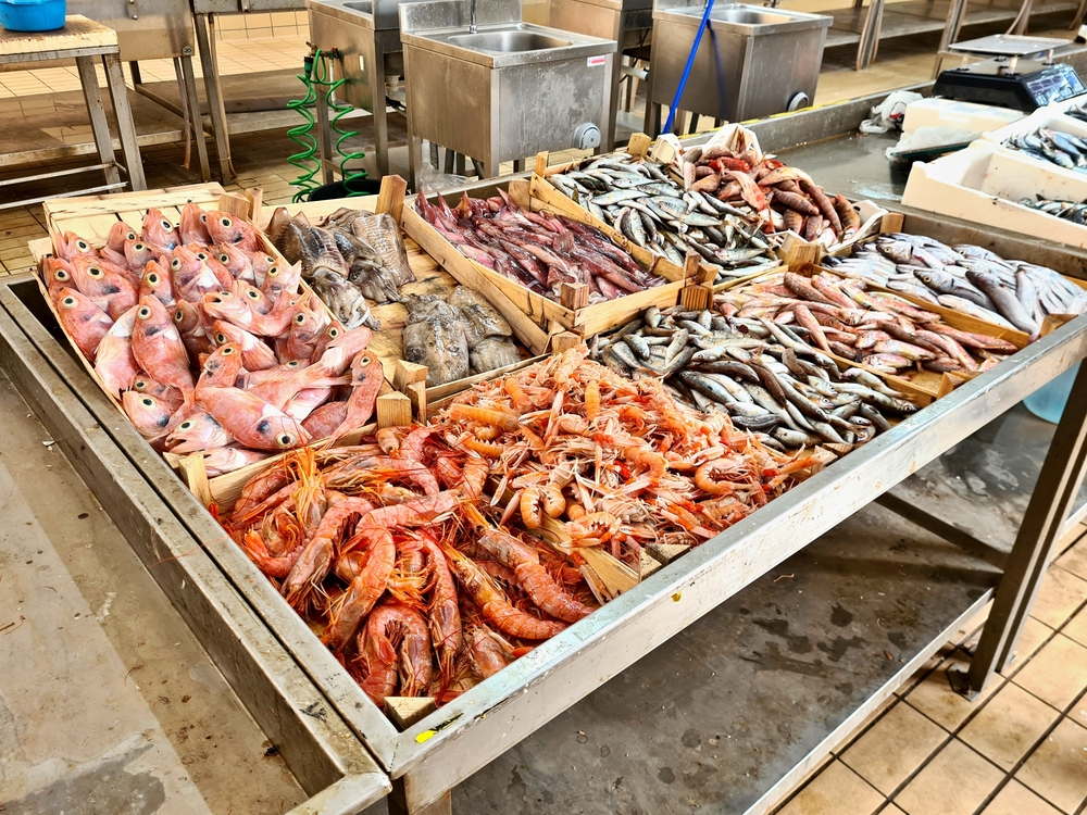 FAO report exposes scale of fish fraud in global seafood supply chains