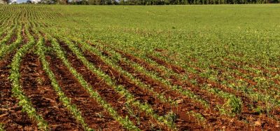 McDonald’s invests in deforestation-free soy initiative to strengthen sustainable sourcing