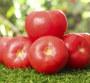 The Xinjiang tomato industry scandal is impacting Europe’s food supply chain, driving price shocks and increasing the risk of tomato paste fraud. Chris Elliott reveals what the sector isn’t discussing.