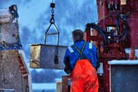 Long outside police control, illegal fishing has evaded sanctions. Nofima researchers examine how police cooperation improves organised food crime enforcement in Norway.