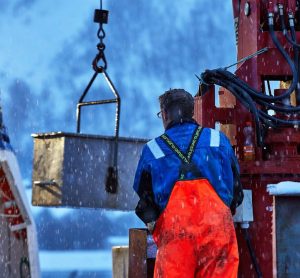 Long outside police control, illegal fishing has evaded sanctions. Nofima researchers examine how police cooperation improves organised food crime enforcement in Norway.