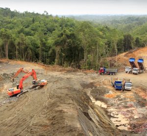 Palm oil land preparation causes most climate damage, research suggests