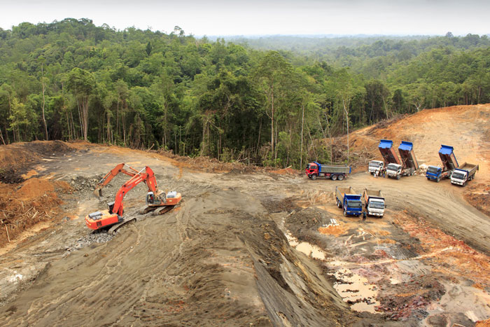 Palm oil land preparation causes most climate damage, research suggests