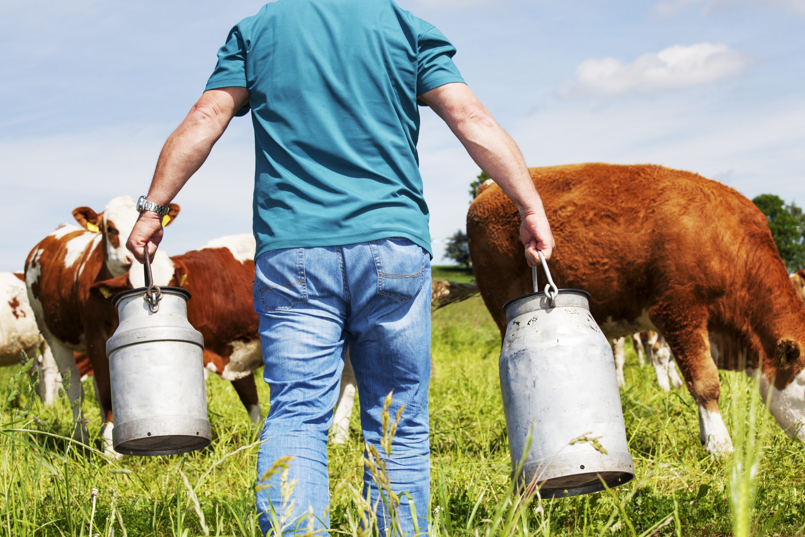 milk churn