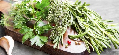 fresh herbs