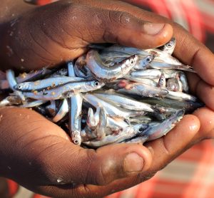 man holding fish