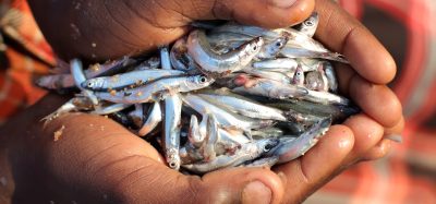 man holding fish