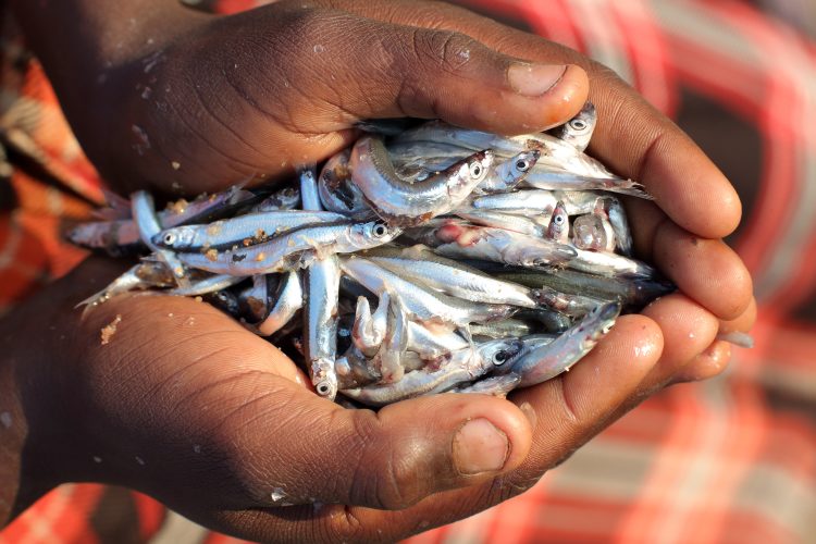 man holding fish