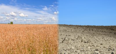 climate change soil