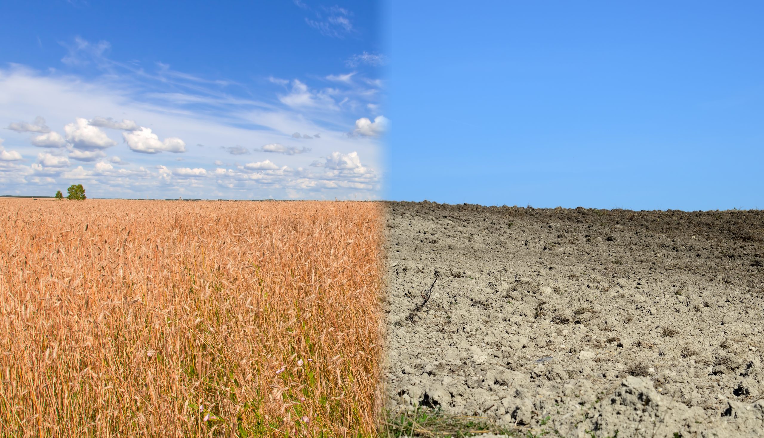 climate change soil