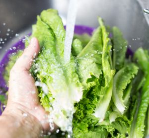 A mans hand washing iceberg lettuce in the sink