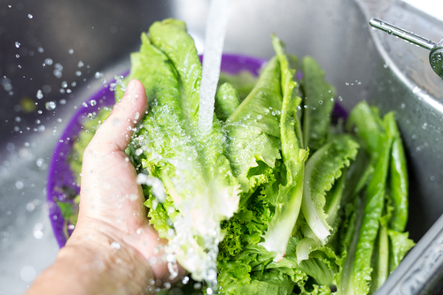 A mans hand washing iceberg lettuce in the sink