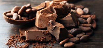 cacao beans