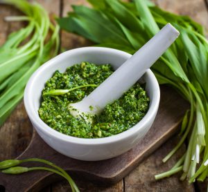 Wild garlic pesto