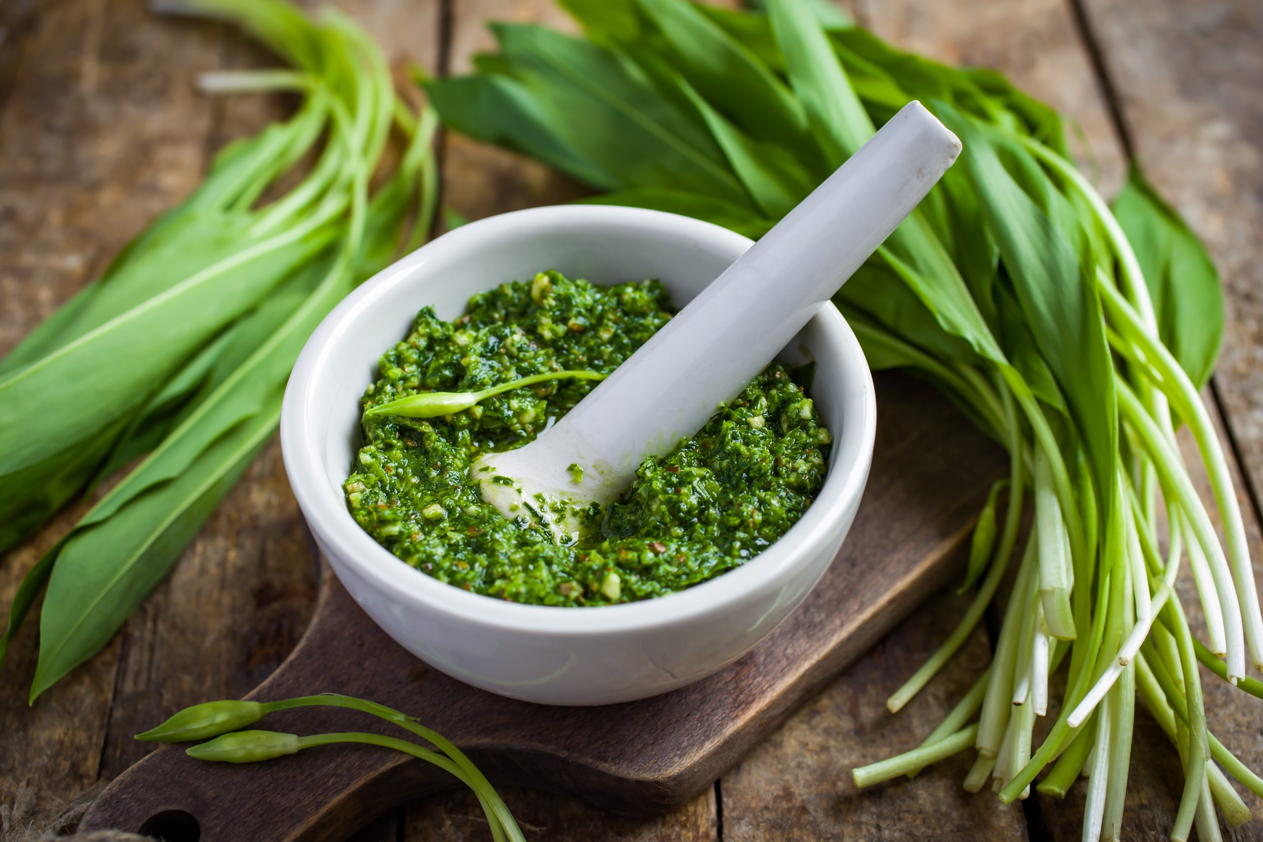 Wild garlic pesto