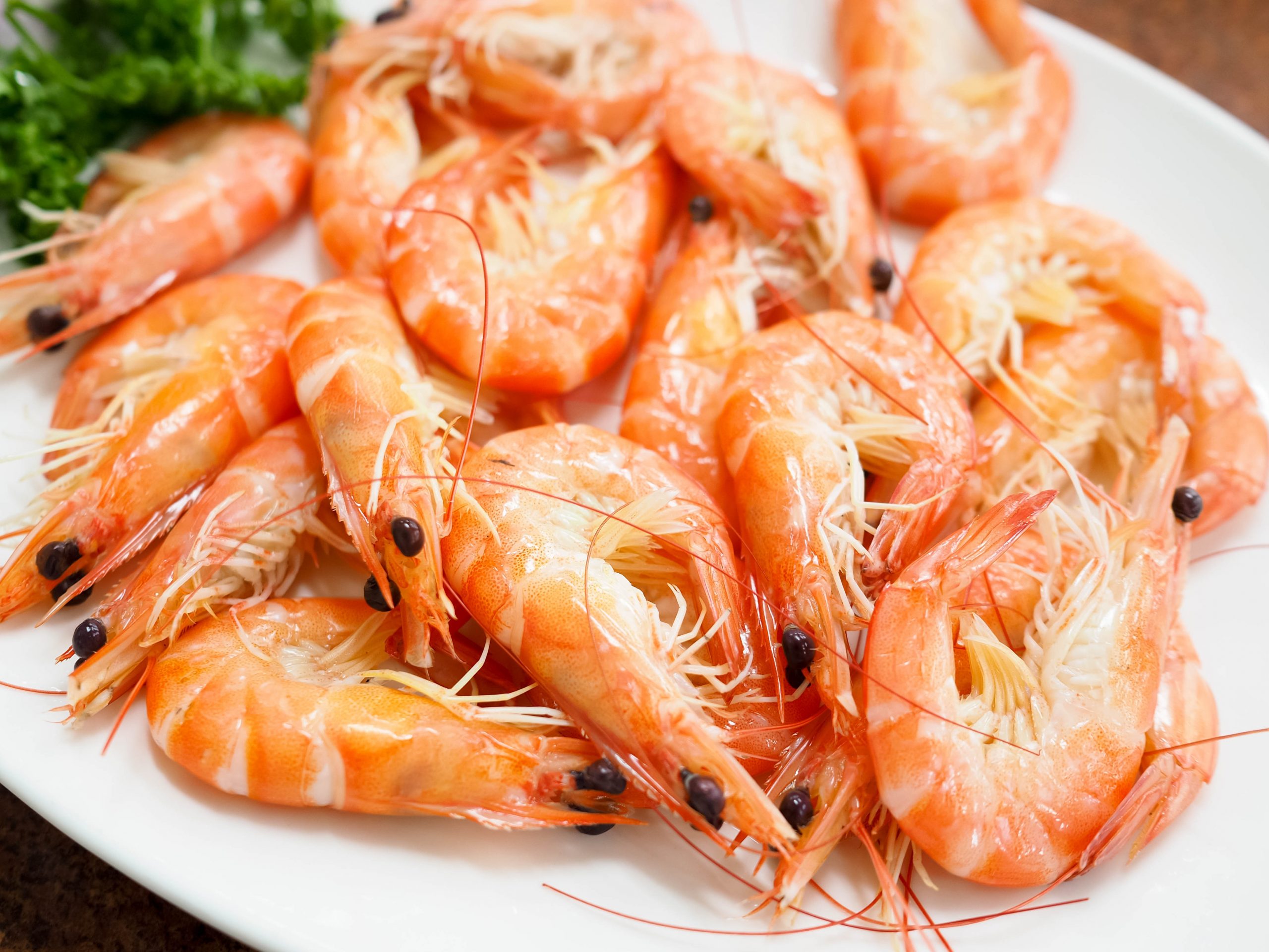 prawns