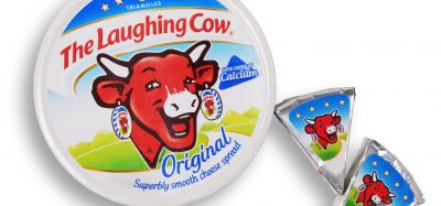 Laughing Cow Cheese
