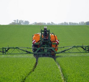 glyphosate