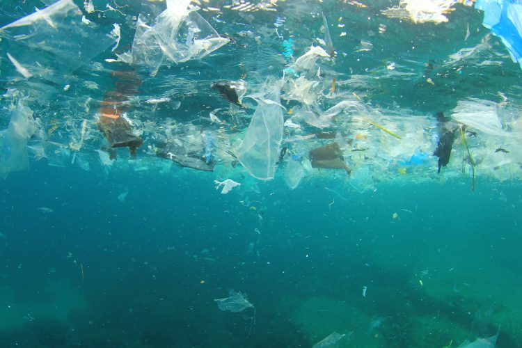  plastic parts per million outweigh plankton in our ocean water.