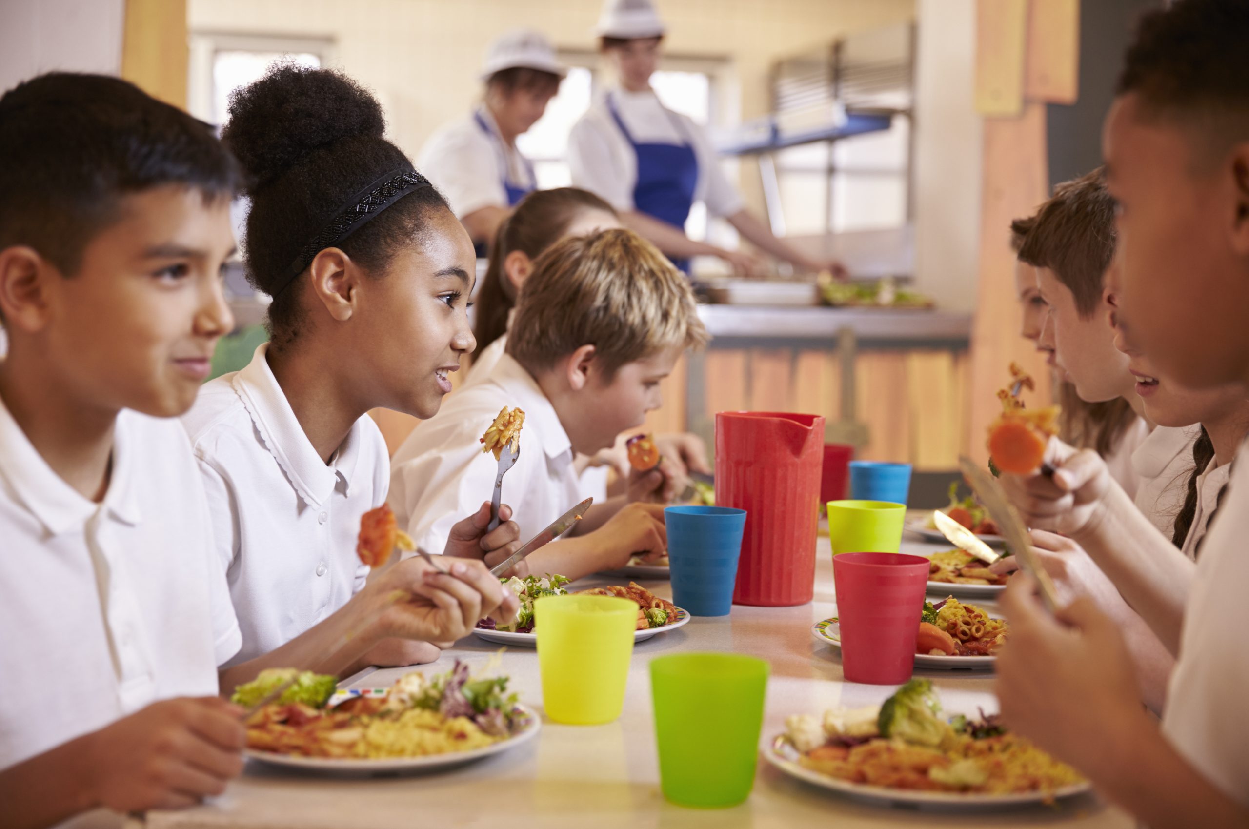 School Lunch