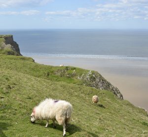 gower peninsula