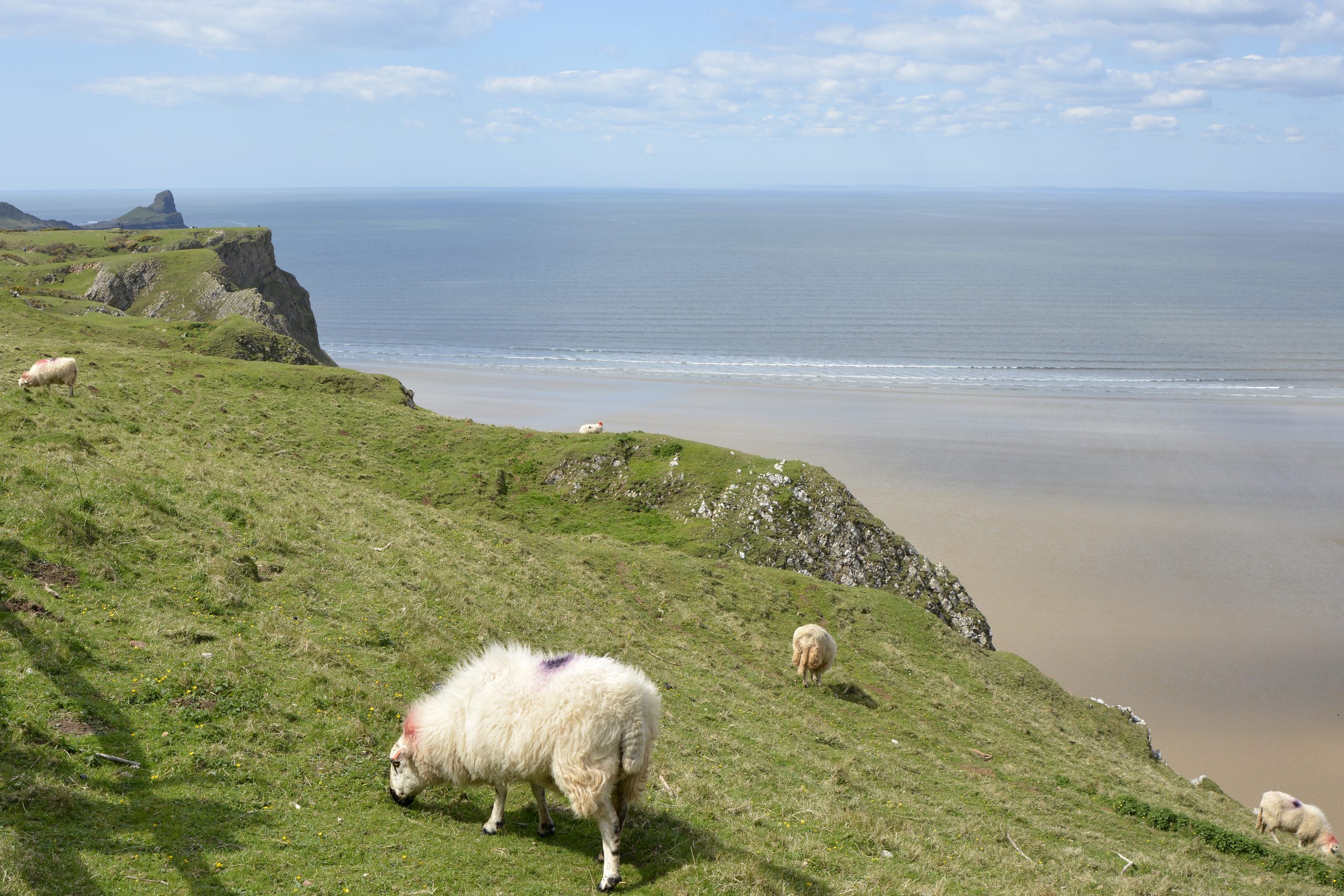 gower peninsula