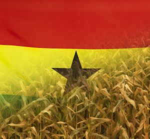 Ghana crop