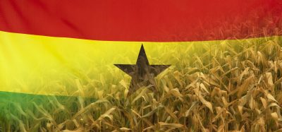 Ghana crop