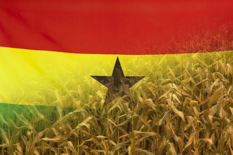 Ghana crop