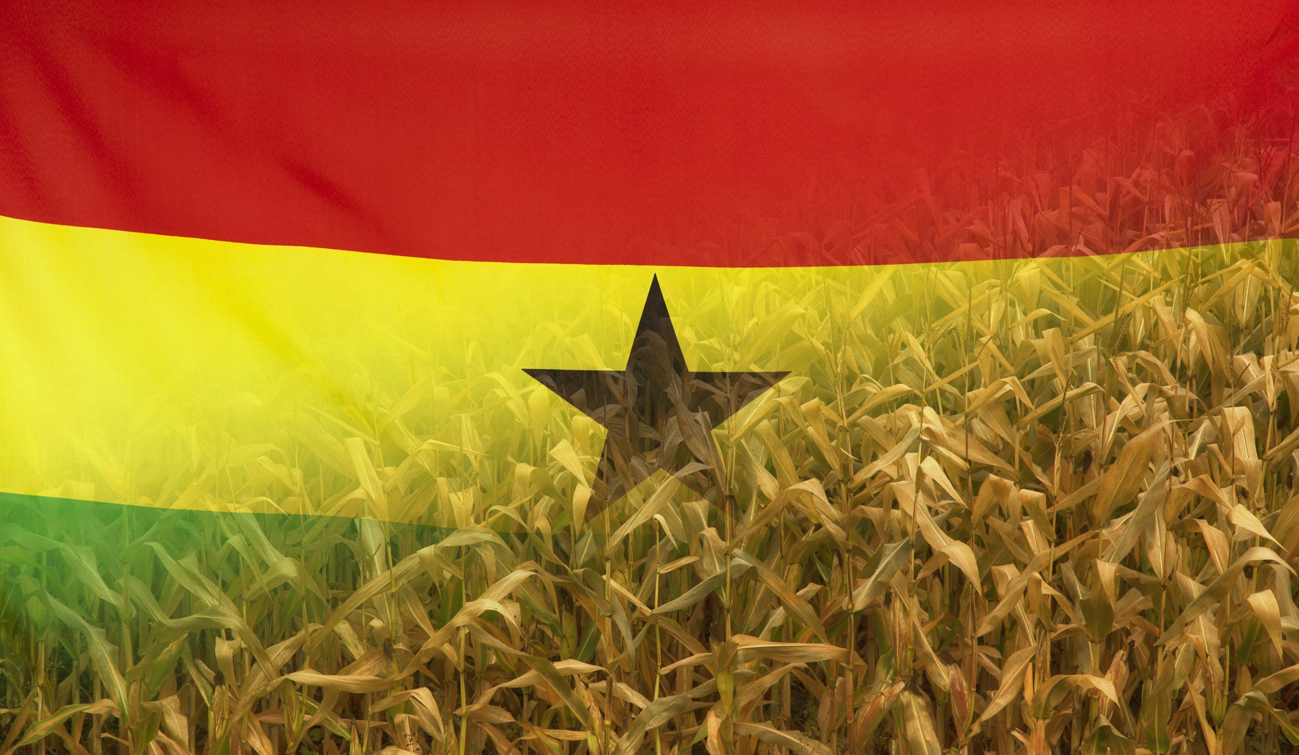 Ghana crop